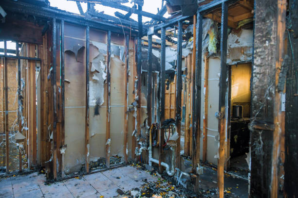 Professional Smoke Damage Removal technician working in Mayer, MN